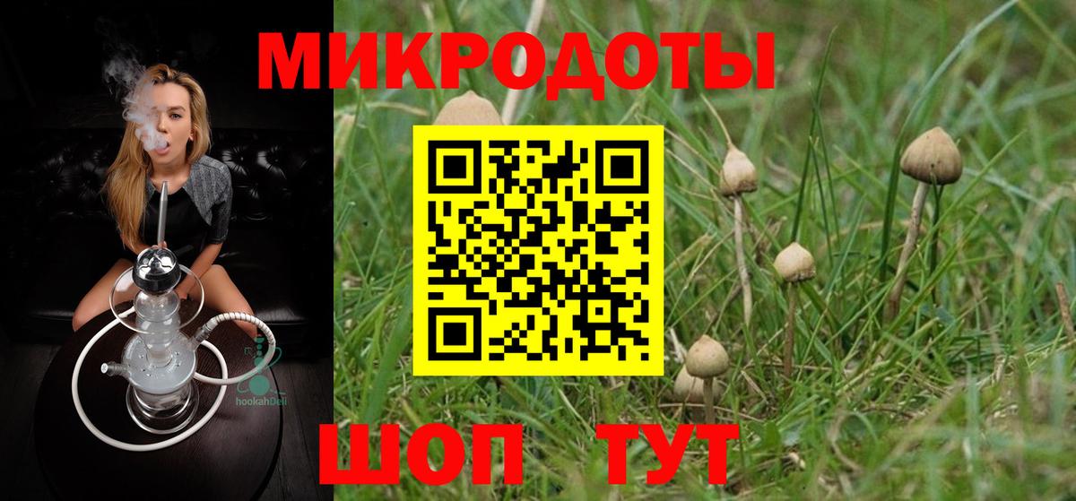 Псилоцибиновые грибы мицелий Улан-Удэ
