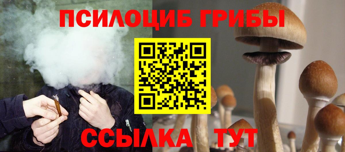 Галлюциногенные грибы GOLDEN TEACHER  Вход с VPN  Улан-Удэ  Галлюциногенные грибы Cubensis 